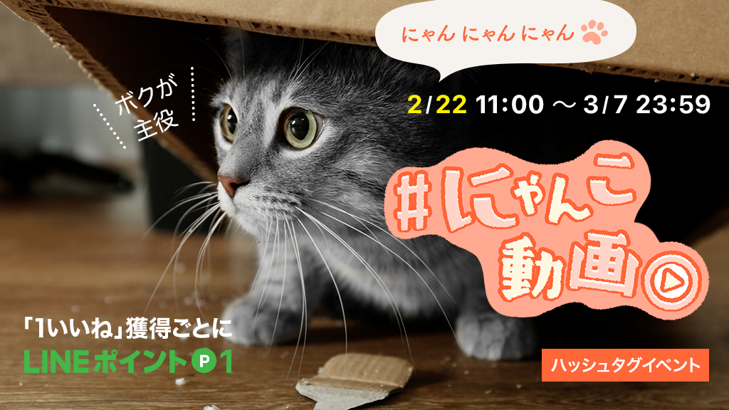 2月22日 今日は猫の日 ニャンとも可愛い猫コンテンツを体験できるline機能をご紹介 Lineみんなの使い方ガイド