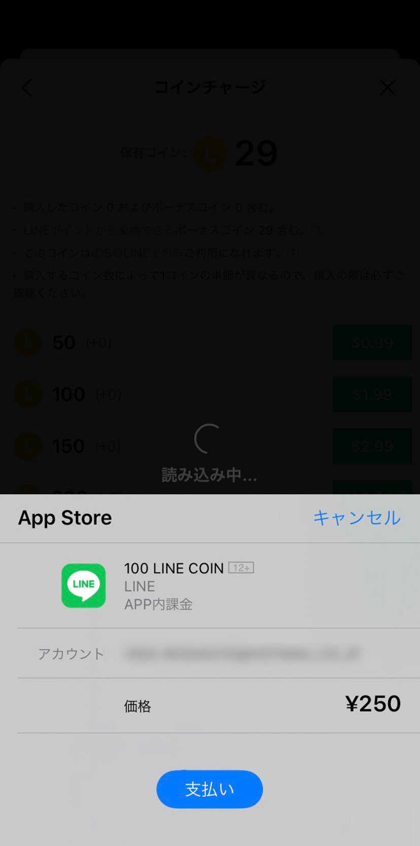 purchase-linecoin_05.jpg